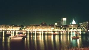 Savannah at Night