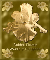 Golden Flower  Award of Elegance