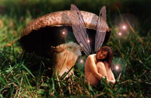 Dean Jones Fairy