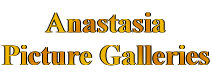 Picture Gallery