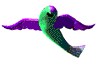 flyfish.gif (16924 bytes)