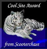 Scooterchase
