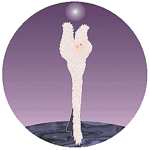 LadyDove