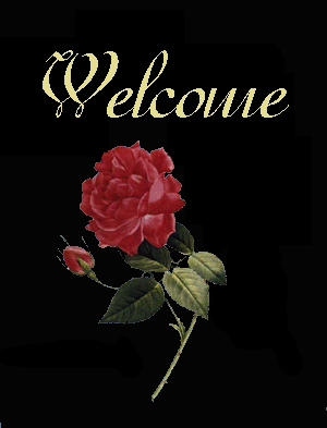 welcome-bienvenidos