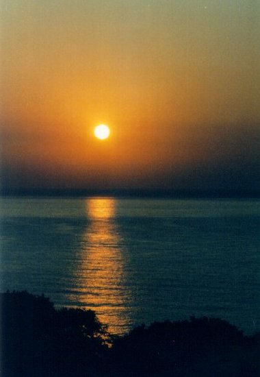 black_sea_shimmerr