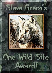 Steve Greco's Web Page