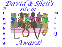 Shell & 
David