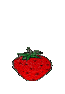 [Fragola]