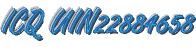 ICQ UIN 22884658