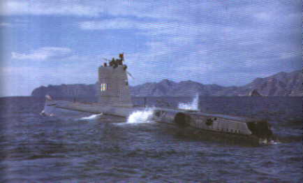 s61