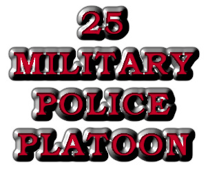 25 MP PL Title