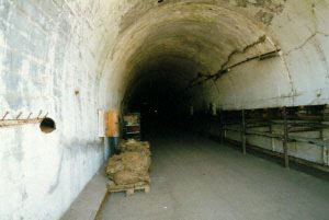 A mine-gallery of the B12 complex