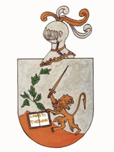 Constitucion