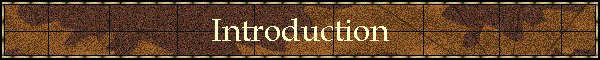 Introduction