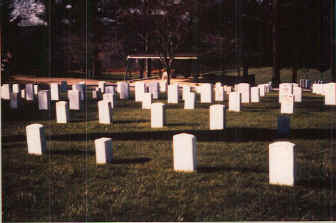 NatCem1.jpg (44736 bytes)