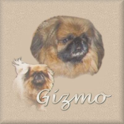 Gizmo