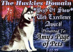 The Husky Domain Award