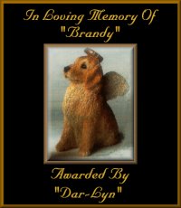 Dar-lyn's Memorial Award