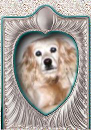 Brandy