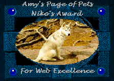 Niko's Award