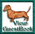 View My Book