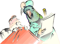 Dr. Parrot