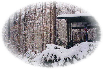 Our Home