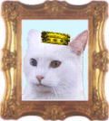 My Sweet Purr Scout Sir Wally!