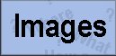 How to add images to your pages!