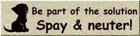 Please Spay or Neuter Your Pet! For their sake!