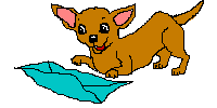 Tiny Paws Email