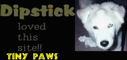 Dipstick