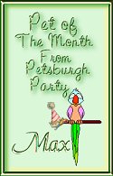 Petsburgh Party