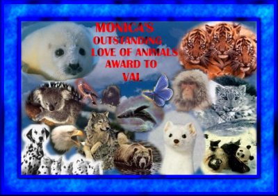 Monica's Award