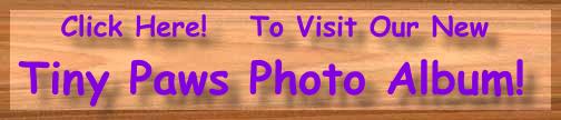 New Photo Album