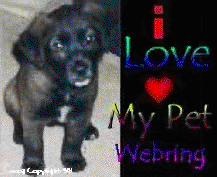 I LOVE MY PET RING!