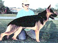 BaldovWolkenstein.jpg (13185 bytes)