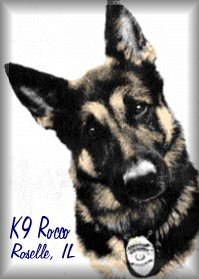 K9Rocco.jpg (14756 bytes)
