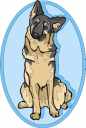 German Shepherd Sitting