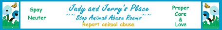 Stop Animal Abuse