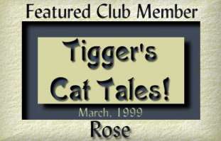 Featured Member - Tigger's Shelter Cat Club!