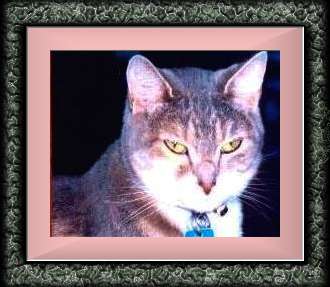 Thanks Tig and Cindy for this beautiful Picture!