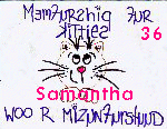 Membership for Kitties who are Misunderstood