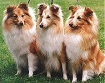 Amy, Pia, and Fame