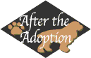 after the adoption