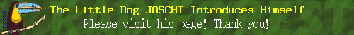 Please, visit me!