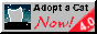 Adopt a Cat