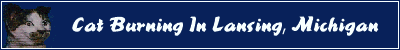 Lansing Banner