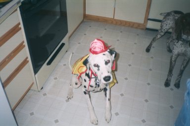 reily