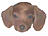 dox